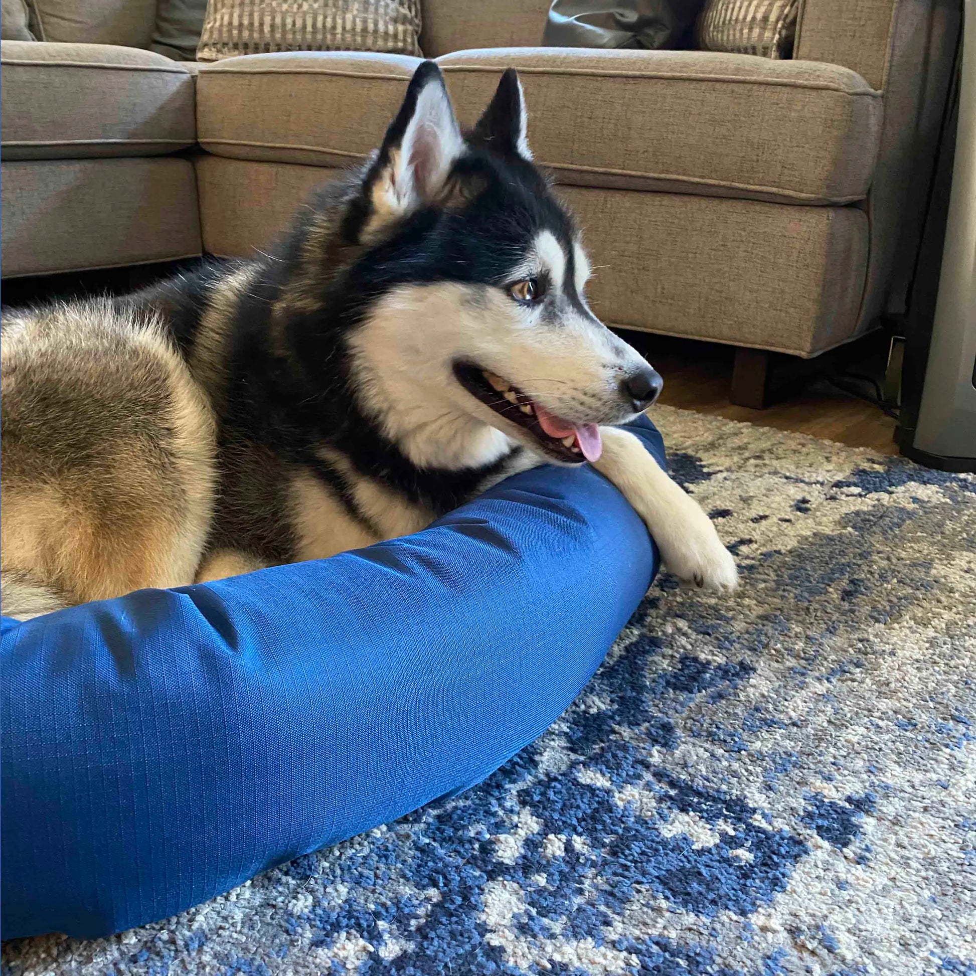 Cozypaws Dog Bed - the Original Reversable Dog Bed