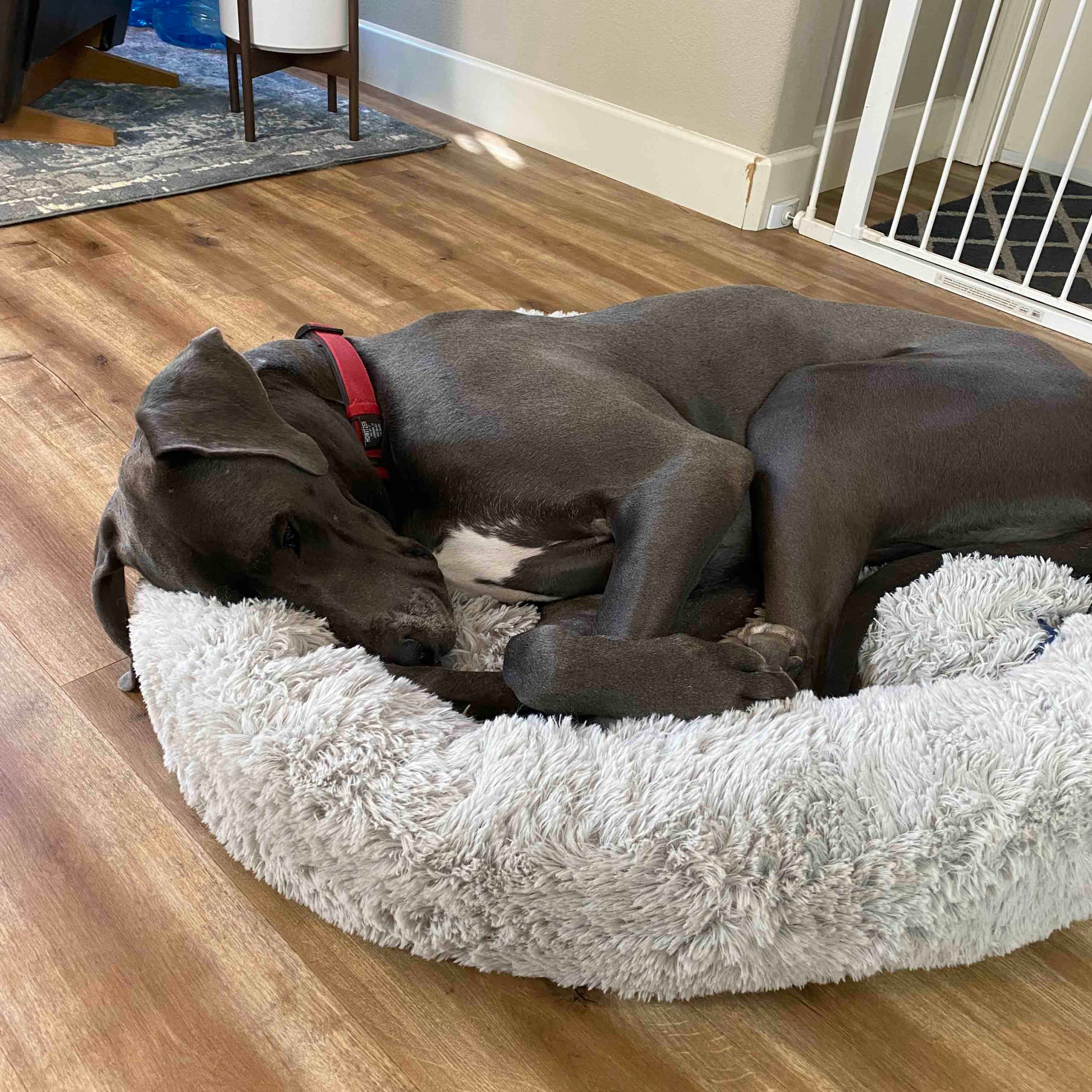 Cozypaws Dog Bed - the Original Reversable Dog Bed