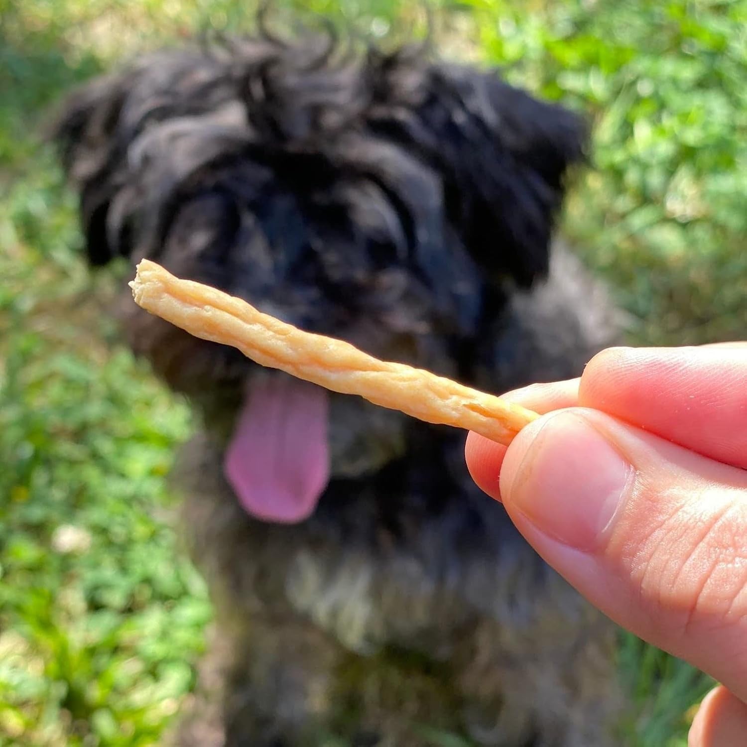 Chicken Jerky Straws – All Natural Chicken Jerky Dog Treats, Dog Chews Made with Lean Chicken Breast (8 Oz)